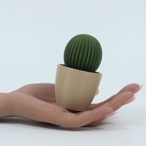 May include: A small, green, ribbed cactus plant in a beige pot. The cactus is round and has vertical lines. The pot is tilted and held in a hand against a white background. The plant is a decorative item.