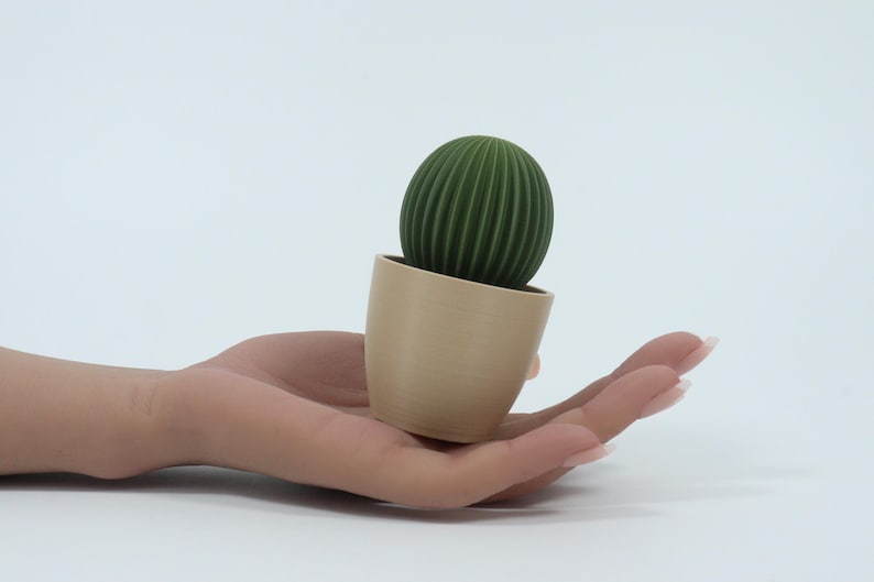May include: A small, green, ribbed cactus plant in a beige pot. The cactus is round and has vertical lines. The pot is tilted and held in a hand against a white background. The plant is a decorative item.
