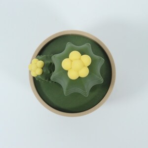 May include: Overhead view of a small, round, decorative object. The object features a dark green base with a light brown rim. Two yellow flower-shaped decorations are on top. The background is white.