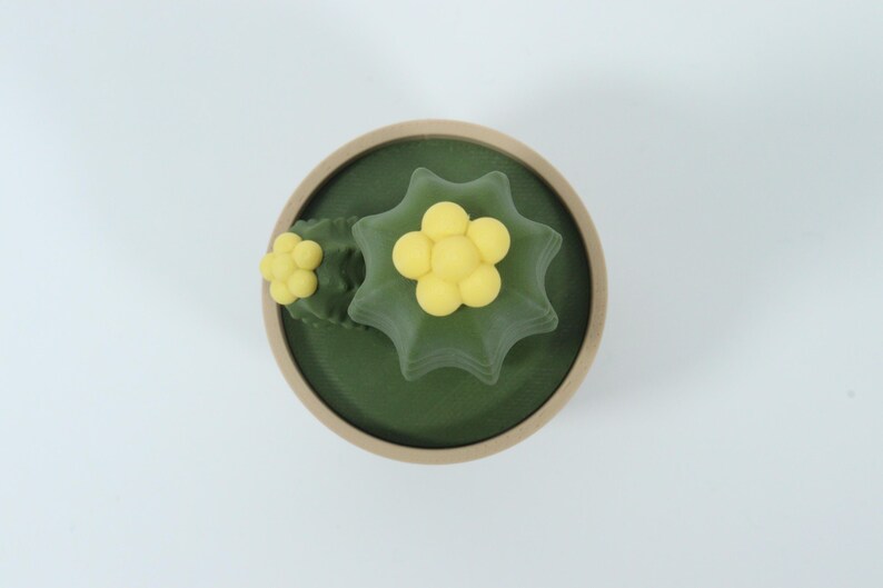 May include: Overhead view of a small, round, decorative object. The object features a dark green base with a light brown rim. Two yellow flower-shaped decorations are on top. The background is white.