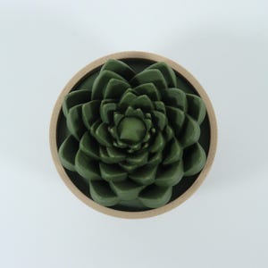 May include: A dark green succulent plant in a round, light brown pot. The succulent has many layered leaves. The pot is centered on a white background. The plant is a decorative item.