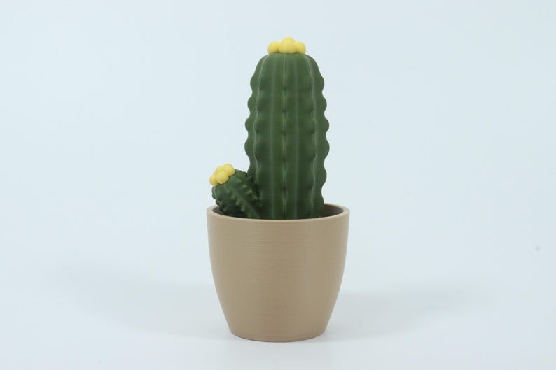 May include: A green cactus plant with yellow accents in a beige pot. The cactus has a tall, ribbed main stem and a smaller side stem. The pot is a simple, rounded shape. A decorative item for home or office.