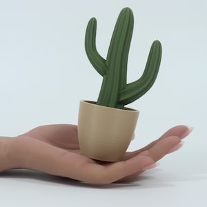 May include: A small, green cactus plant in a beige pot. The cactus has three stems and is set against a white background. The pot is cylindrical and has a smooth texture. The plant is held in an open hand.