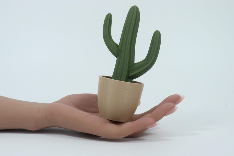 May include: A small, green cactus plant in a beige pot. The cactus has three stems and is set against a white background. The pot is cylindrical and has a smooth texture. The plant is held in an open hand.