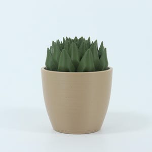 May include: A small, beige ceramic pot holds a dark green, spiky succulent plant. The plant's leaves are a deep green, contrasting with the pot's neutral color. The pot has a simple, rounded shape, and the background is plain white.