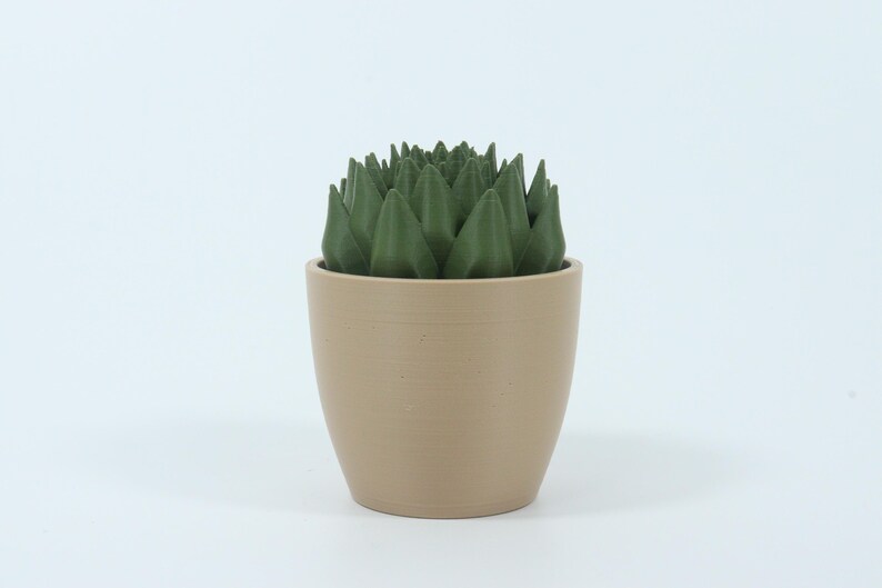 May include: A small, beige ceramic pot holds a dark green, spiky succulent plant. The plant's leaves are a deep green, contrasting with the pot's neutral color. The pot has a simple, rounded shape, and the background is plain white.