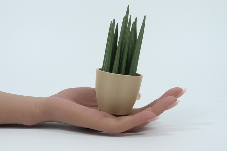 May include: A small, beige-colored pot filled with several green, pointed plant stems. The pot is held in an open hand against a white background. The plant stems are a darker shade of green.