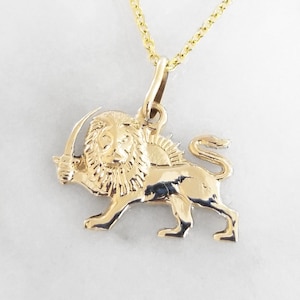 Areli Lion Necklace