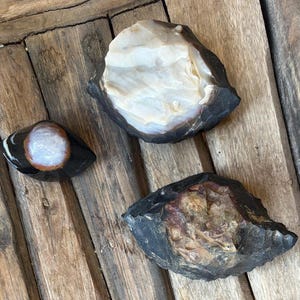 May include: Three raw, unpolished stones with dark black outer edges. One stone features a large, smooth, white center. Another stone has a smaller, circular, light-colored center. The third stone displays a textured, brownish-tan interior.