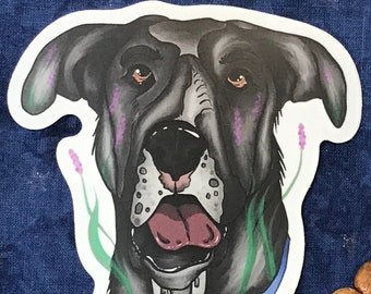 Finn the Great Dane | Stickers | Dog Stickers