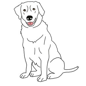 Labrador Retriever Embroidery Design