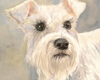 Painting of Schnauzer, White Schnauzer Painting, Schnauzer portrait, Schnauzer watercolor