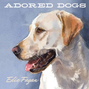 Dog Portrait Book, Dog Book, Gift 20 Bucks, 25% off, Teacher Gift, Autographed Dog Book, gift for dog lovers, Christmas gift, hostess gift