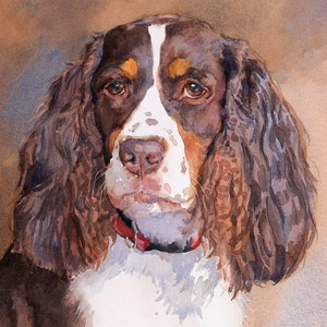English Springer Spaniel Art, Springer Spaniel print, Springer Spaniel watercolor painting