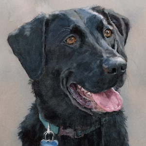 Black Lab painting, Black Labrador Retriever, Black Lab art, Black Lab watercolor, Black Lab portrait