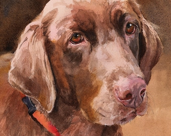 Chocolate Labrador Retriever Art, Chocolate Lab Watercolor, Chocolate Lab art, Labrador portrait