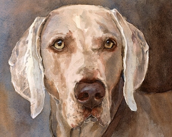 Weimaraner Print, Weimaraner Painting, Weimaraner Watercolor, Weimaraner art, Weimaraner portrait