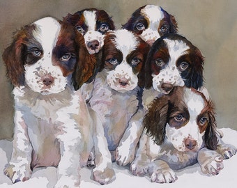 Painting of Springer Spaniel Puppies, English Springer Spaniel Art, Springer Spaniel watercolor