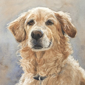 Golden Retriever Portrait, Golden Retriever art, Golden Retriever painting, Golden Retriever Watercolor