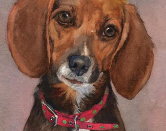 Beagle Watercolor Giclee Print: English Pocket Beagle Portrait