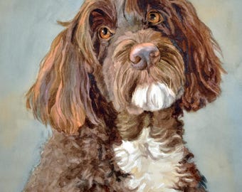 Portuguese Water Dog Giclée Print: Brown & White PWD Art