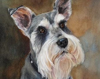 Painting of Schnauzer, Schnauzer Painting, Gray Schnauzer portrait, Schnauzer watercolor