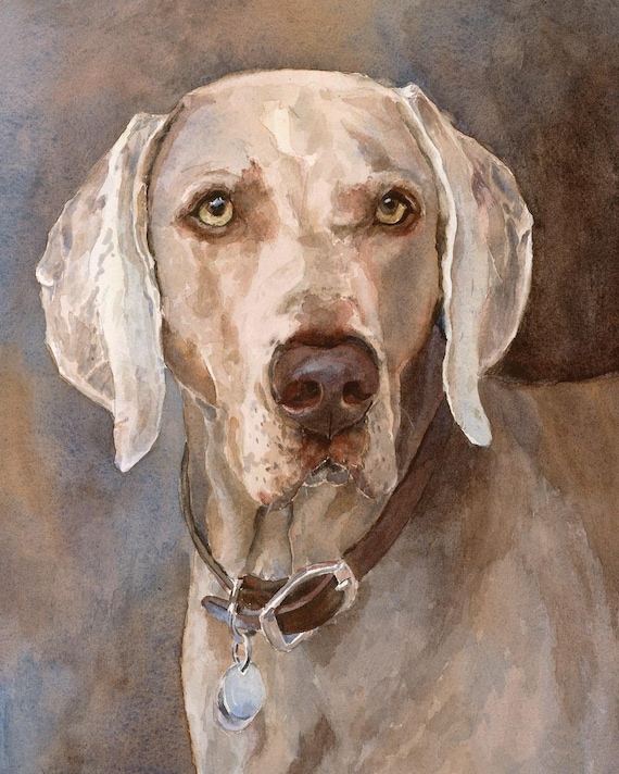 Weimaraner Dog Art Print: Giclee Watercolor Portrait