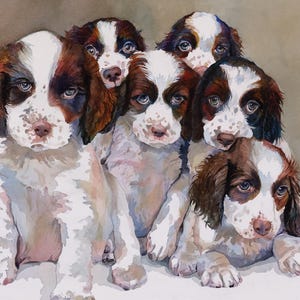 Springer Spaniel Puppies Watercolor Art Print: Dog Lover Gift