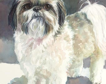 Shih Tzu Watercolor Giclee Print: Black and White Dog Art