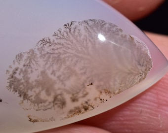 4243-45 Natural DENDRITIC AGATE CABOCHON Fossilised Agate Pear Cabochon For Wire Wrapping 19x32x6mm 28 Cts