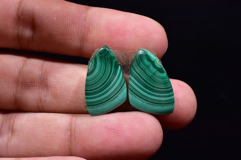 Natural Malachite Fancy Pair Cabochon For Earrings MPL6