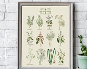 Vintage Style Kitchen Herbs Art Print,Herbs Wall Hanging,Plant Art Print,Kitchen Art,