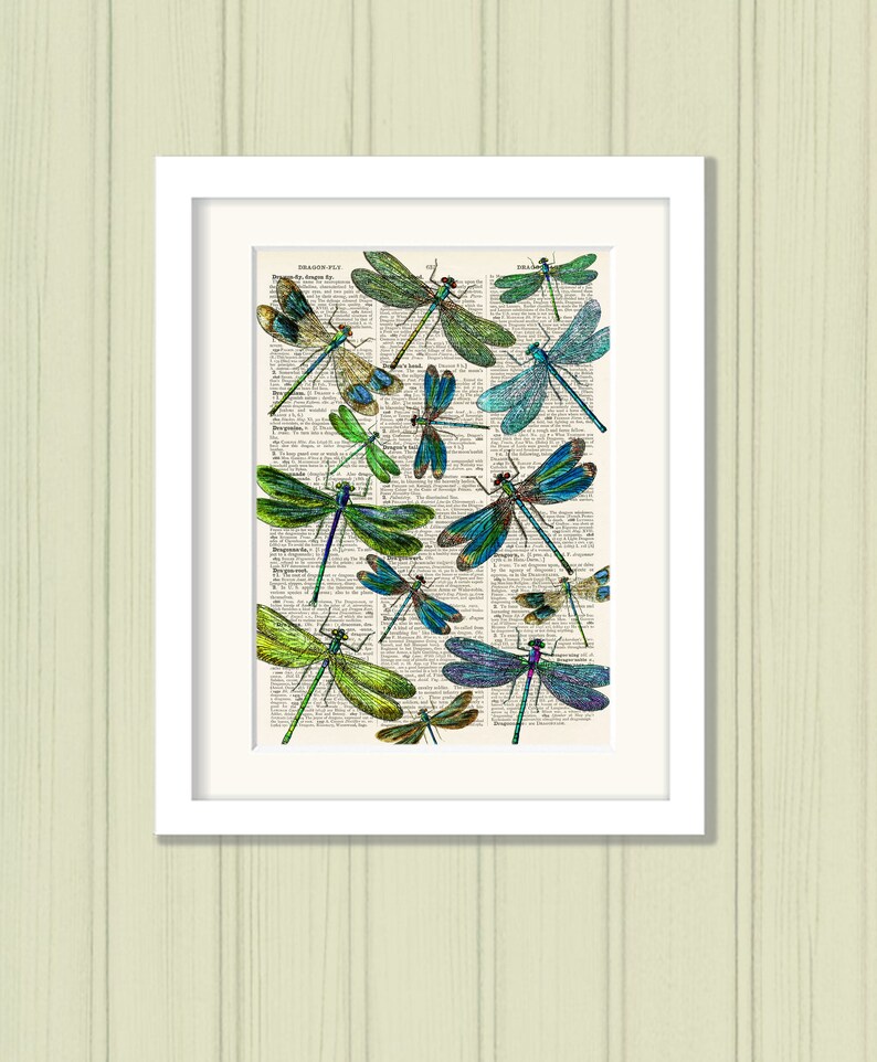 Dragonflies Art Print A4 Wall Art Print Reproduction Vintage Etsy