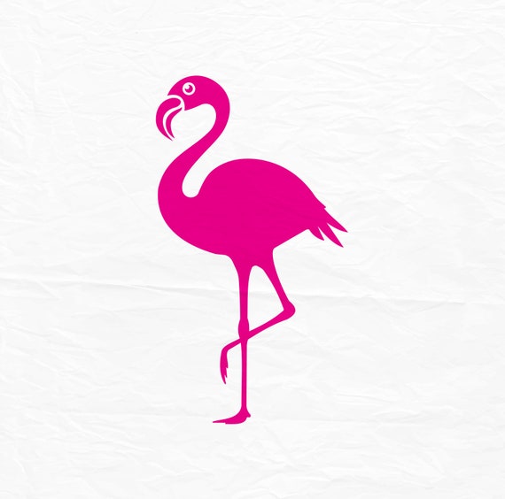 Download Flamingo SVG Flamingo Silhouette Zoo SVG Animal Svg Beach ...