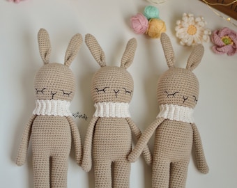 Amigurumi Rabbit Pattern, Crochet Rabbit Pattern, Rabbit Amigurumi Pattern, Amigurumi Rabbit, Amigurumi Pattern, Crochet Rabbit, Bunny pattern