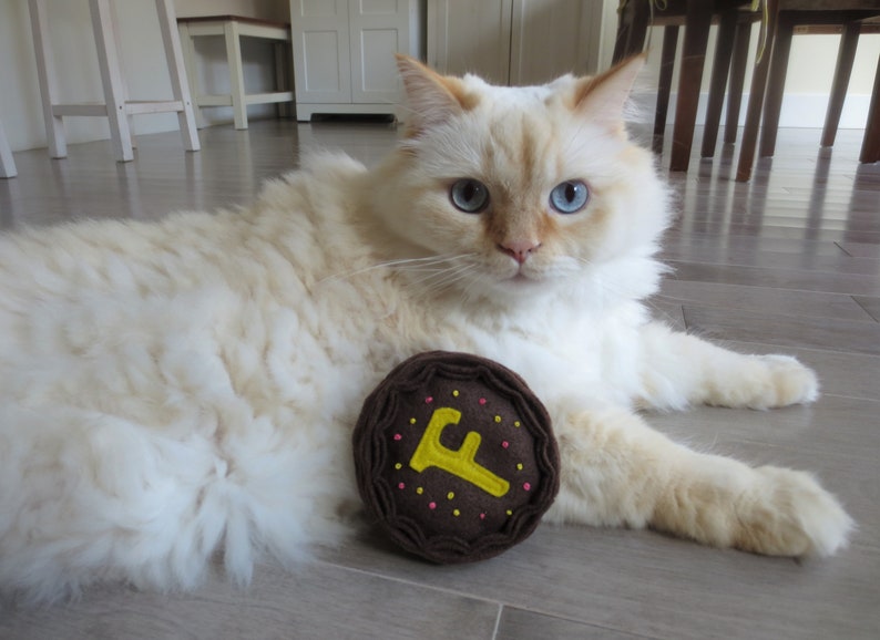 May include: A white and cream long-haired cat with blue eyes is lying on a light wood floor. The cat is looking at the camera. The cat is playing with a brown felt toy with a yellow letter F on it.