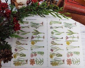 30 Stück Vintage Frühlingsblumen Aufkleber Blätter | Sticker Set | Planer | Tagebuch | ECLP | Notizbuch für Reisende| Tulpe | Narzissen | Lily