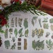 26 Piece Vintage Forest Greens Sticker Sheets | Woodland | Natural | Sticker Set | Planner | Journal | Scrapbook | Leaf | Die Cut | Pinecone
