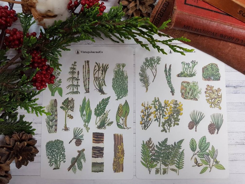 26 Piece Vintage Forest Greens Sticker Sheets | Woodland | Natural | Sticker Set | Planner | Journal | Scrapbook | Leaf | Die Cut | Pinecone 