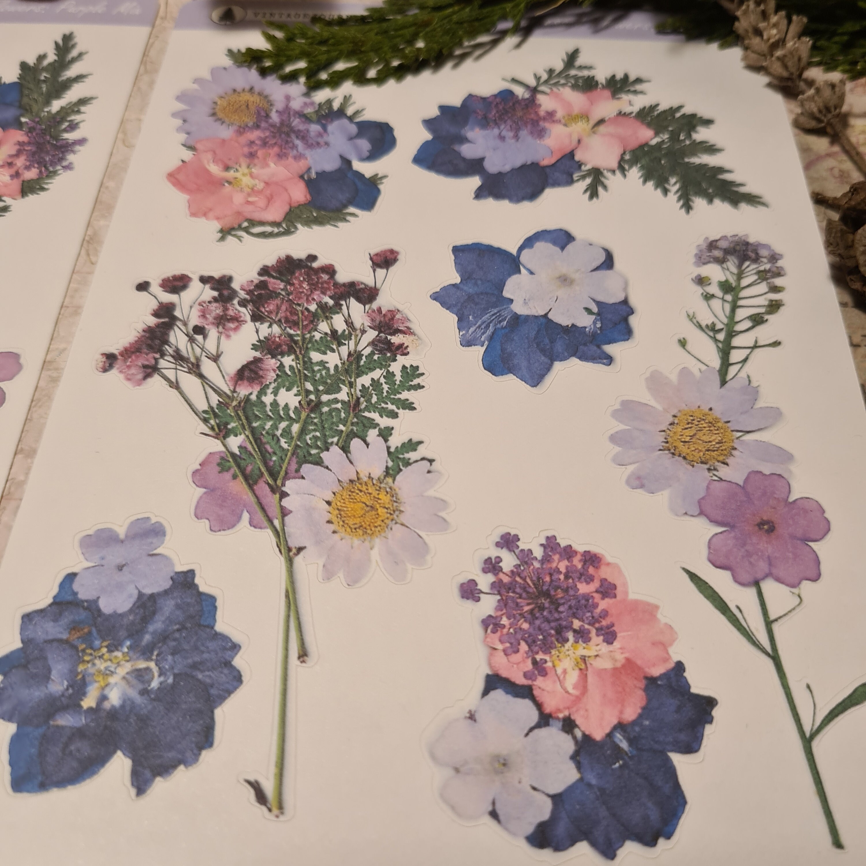 Pressed Flower Stickers Purple Mix Plant Stickers Planner Etsy