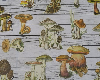 28 Piece Vintage Mushrooms Sticker Sheets | Fungi | Nature | Planner | Sticker Set | Journal | Erin Condren | Happy Planner | Scrapbook