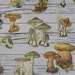 28 Piece Vintage Mushrooms Sticker Sheets | Fungi | Nature | Planner | Sticker Set | Journal | Erin Condren | Happy Planner | Scrapbook
