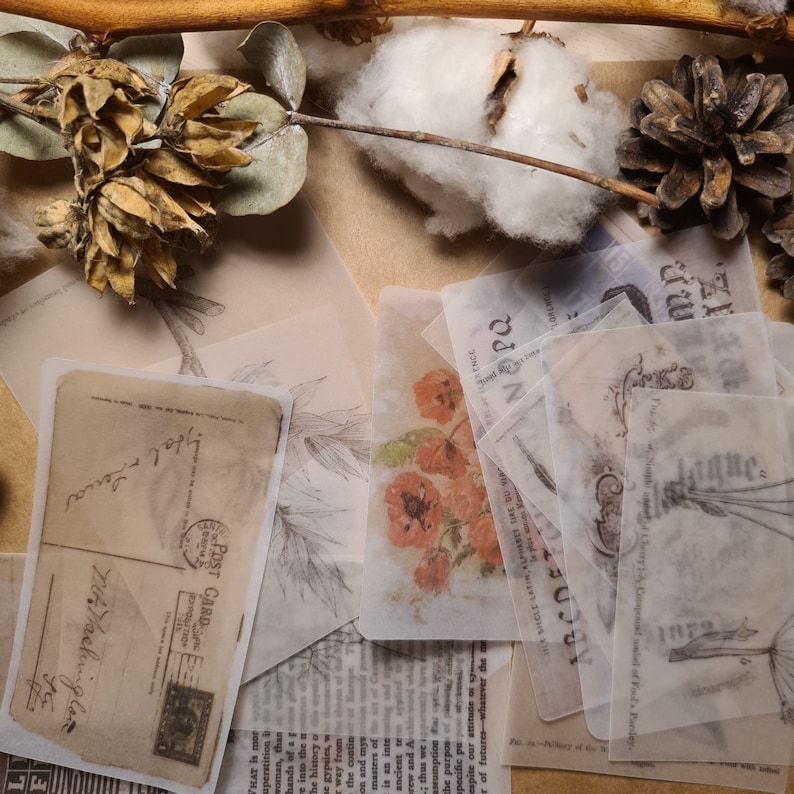 Vintage Vellum Paper Pack Crafting Junk Journaling Etsy