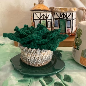 May include: A handmade crochet succulent plant in a small pot, sitting on a green saucer. The succulent is a vibrant green, and the pot is a mix of beige, gray, and brown. The background includes decorative ceramic houses and a teapot.