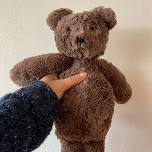 May include: A brown plush teddy bear with a soft, fuzzy texture. The bear has a black nose and small black eyes.