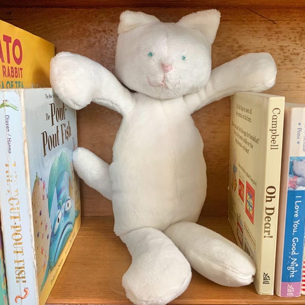 Cupcake the super soft kitten pal.