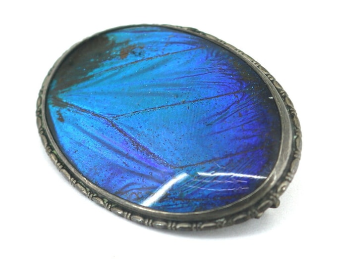 Vintage Art Deco Oval Morpho Butterfly Wing Insect Design Pin/Brooch 925 Sterling BB 1676
