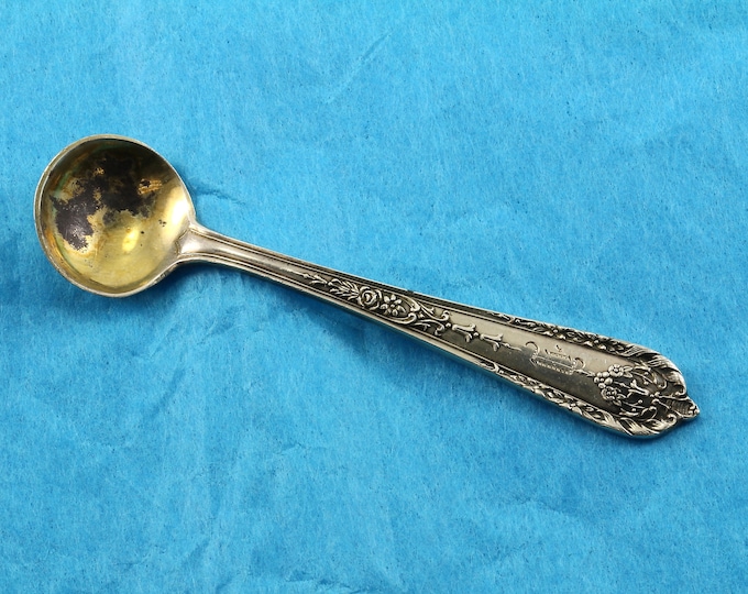 Vintage Small Souvenir Salt Spoon FW 2-E