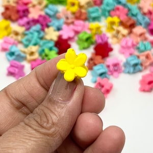 Hair clips mini claw clip,