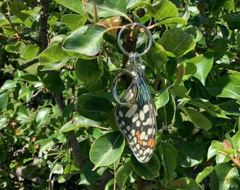 Butterfly Wing Keychain